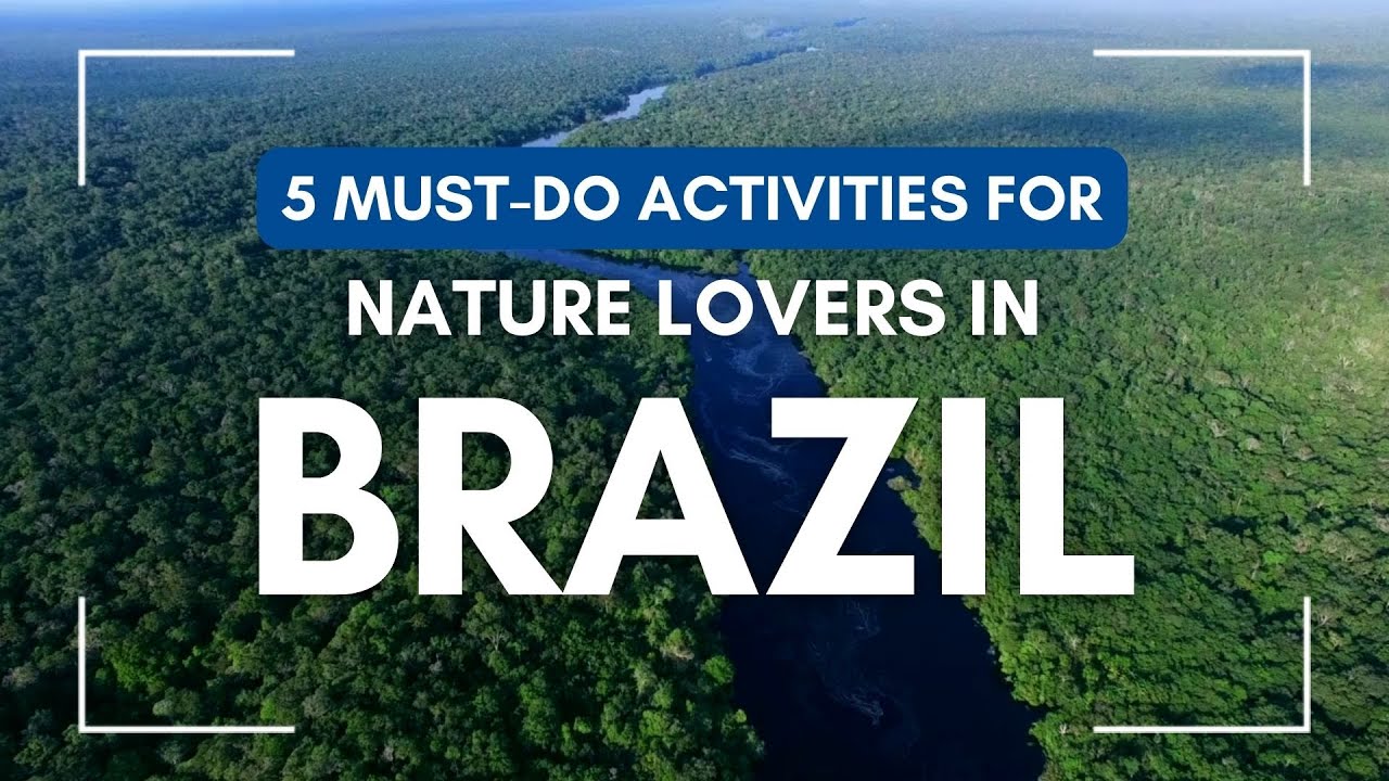5 Activities in Brazil for Wildlife Enthusiasts