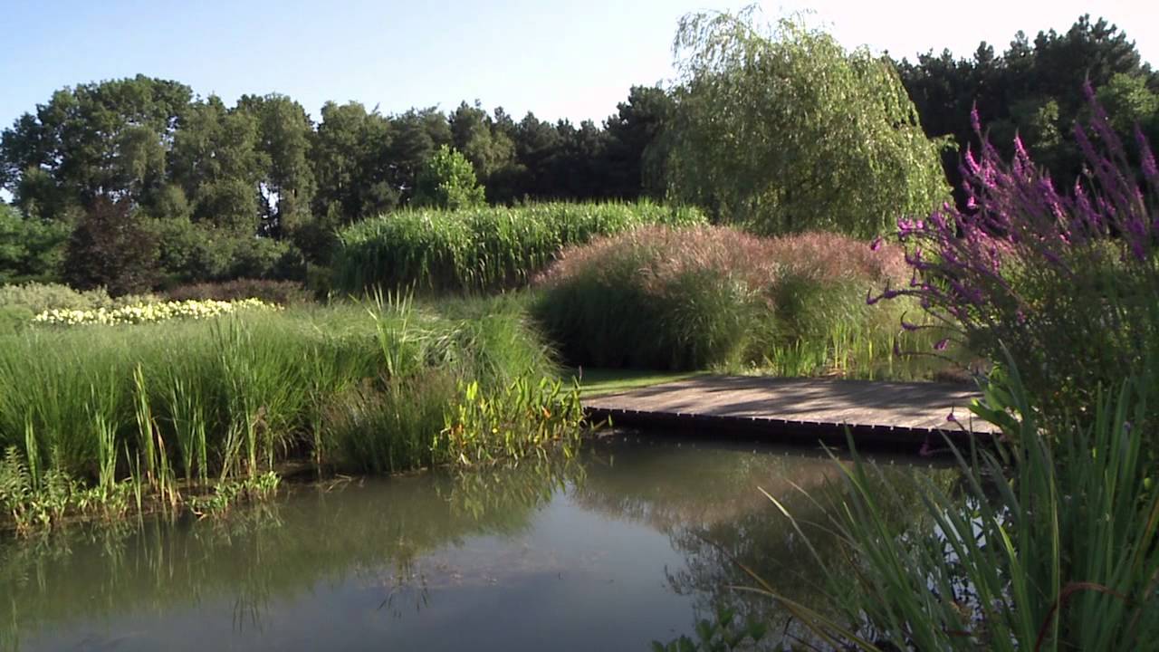 Parkachtige tuin met zwembad - Jacques van Leuken