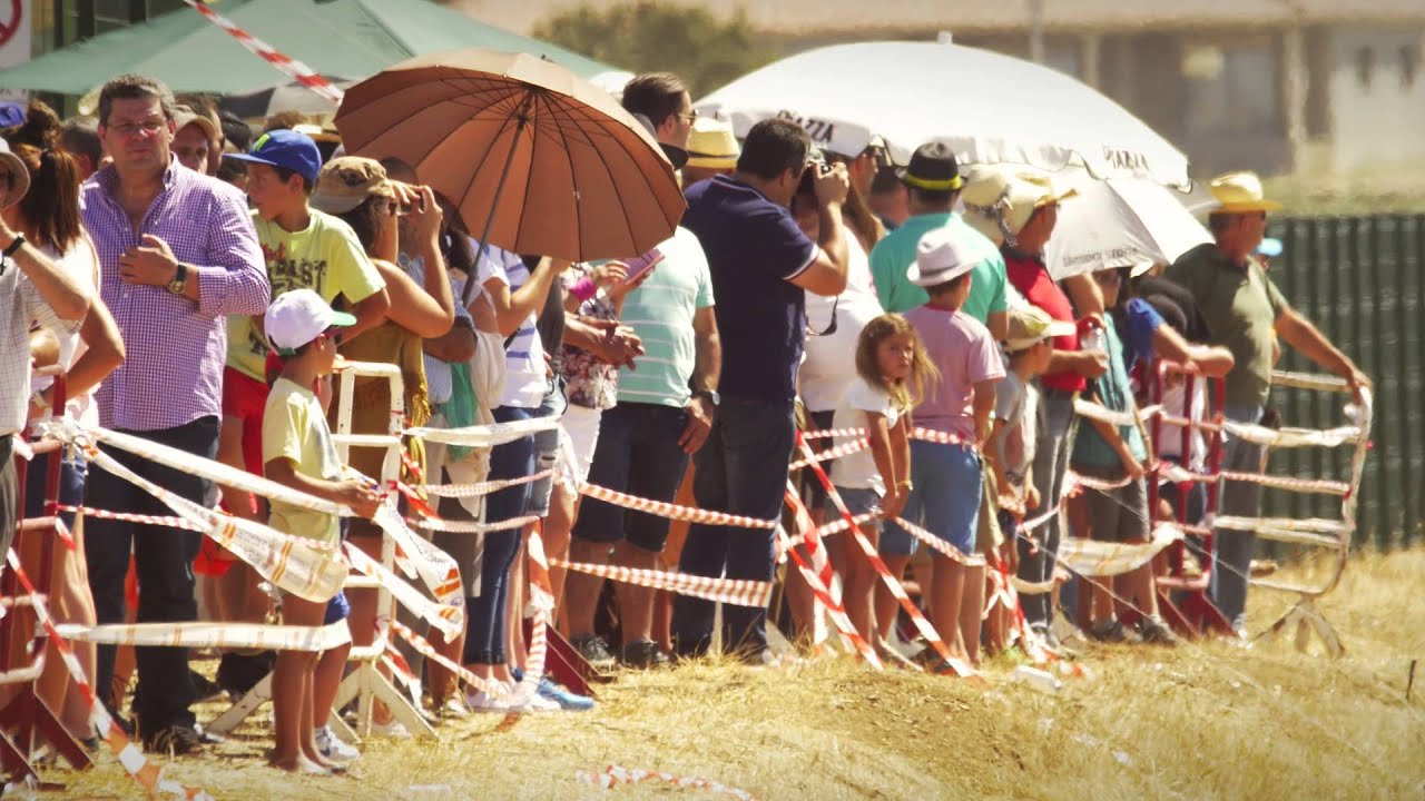 Promocional Município de Mogadouro - 2015