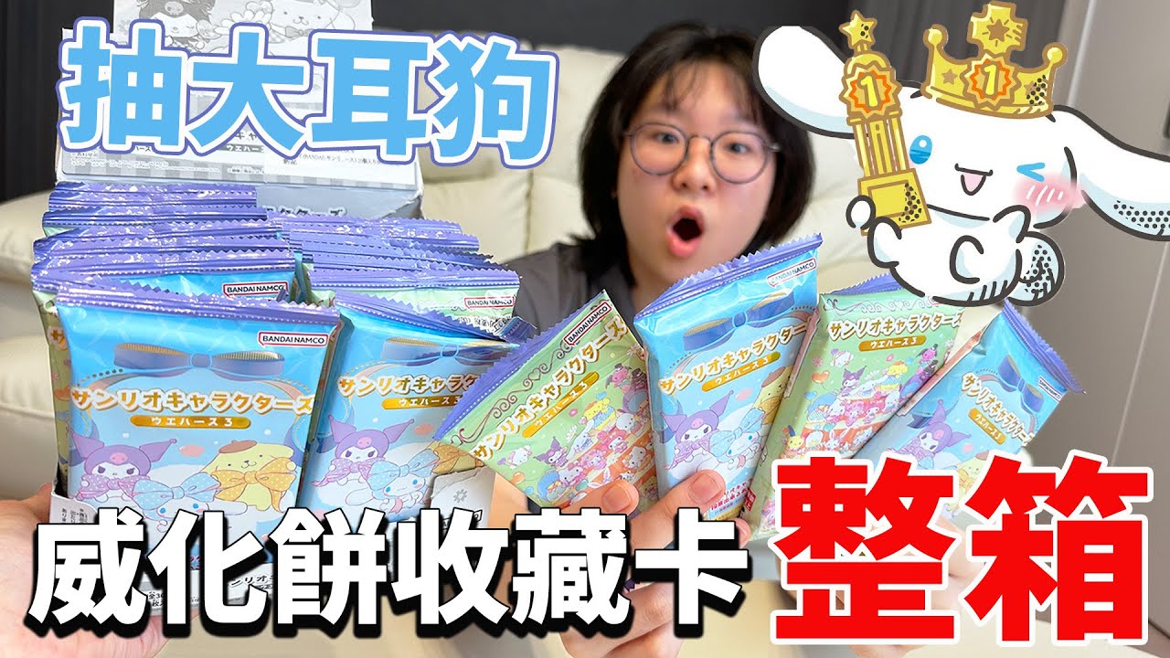 【開箱】為了抽中大耳狗! 買了整箱三麗鷗威化餅卡牌盲袋 我們抽中了嗎? 咕卡 盲盒 盲袋[NyoNyoTV妞妞TV]