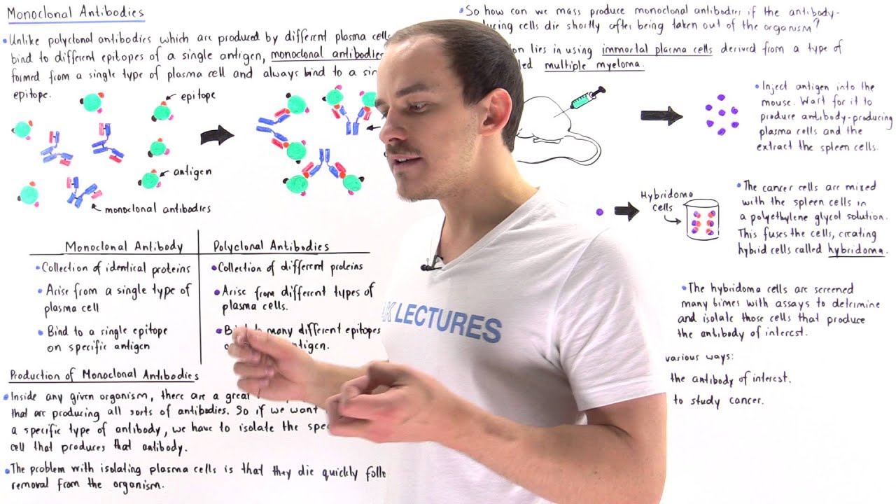 Monoclonal Antibodies