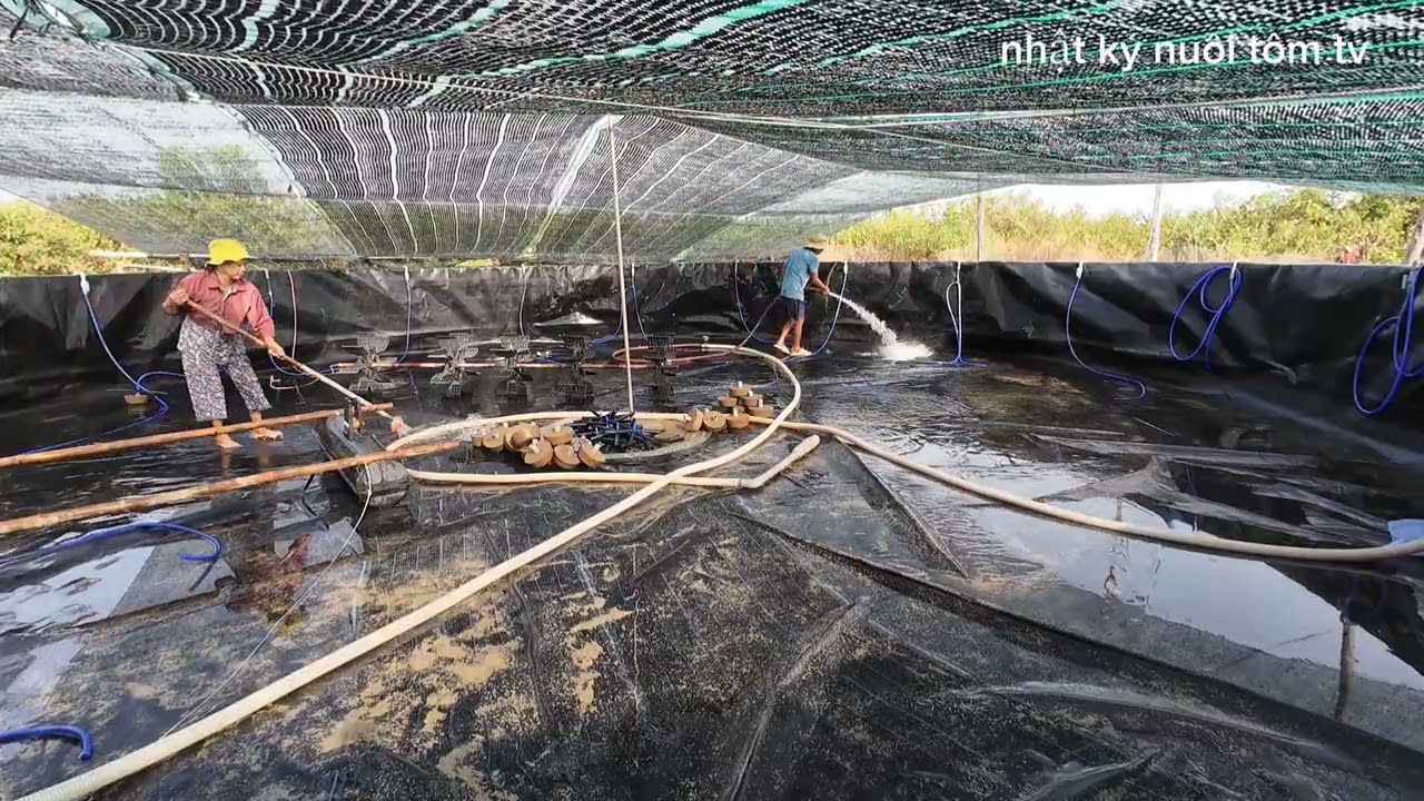 hoàn thành công việc ao deo