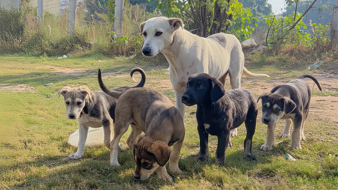 They Kept Their Distance, Eyes on Us After 7 Hours, This Moment Made It All Worth It.