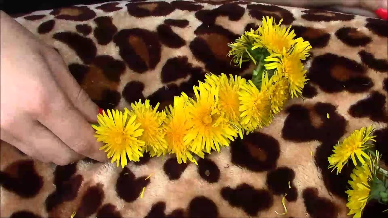 DIY Flower Crown