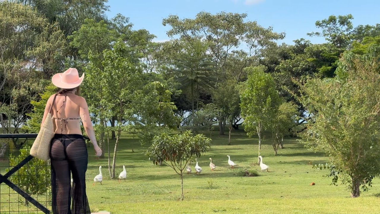TOUR PELA CASA DE BONECA DA CHÁCARA | PISCINA | NOITE DE JOGOS 