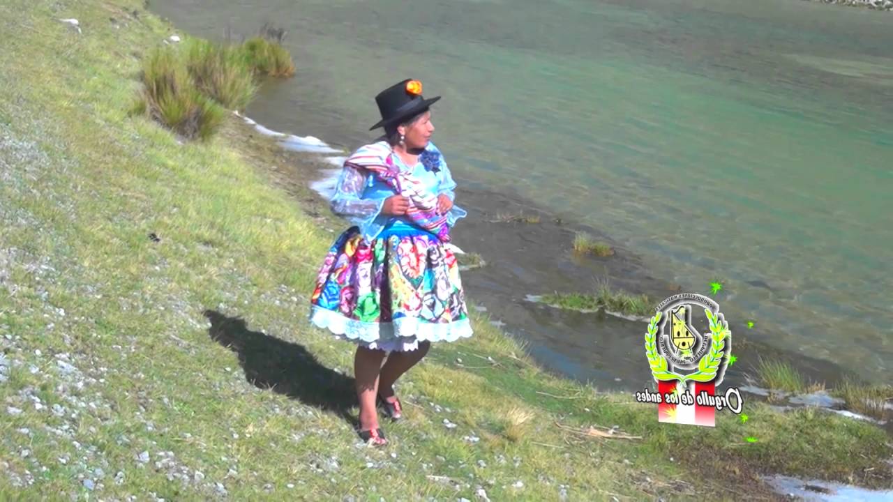 Estrellita de Mayobamba - Primicia Sentimental 2016