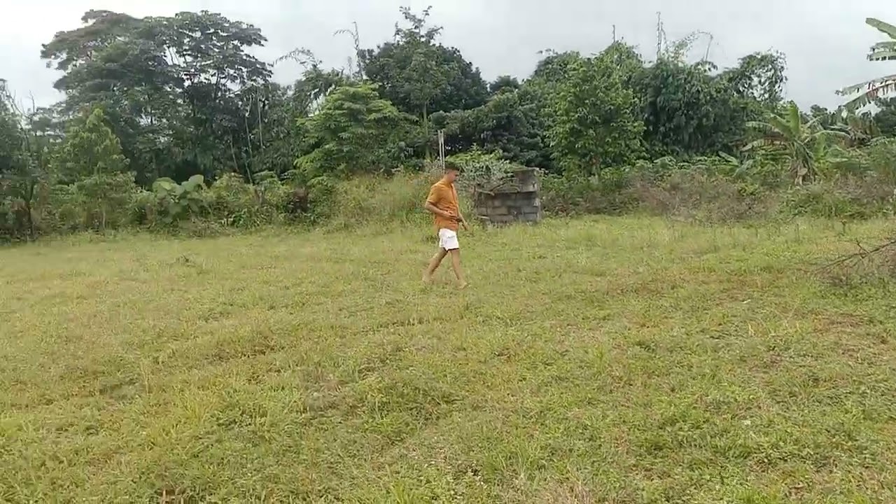 Di jual tanah kebun murah se luas 105 MTR surat SHM di jual 700 pr mtr nego tipis 