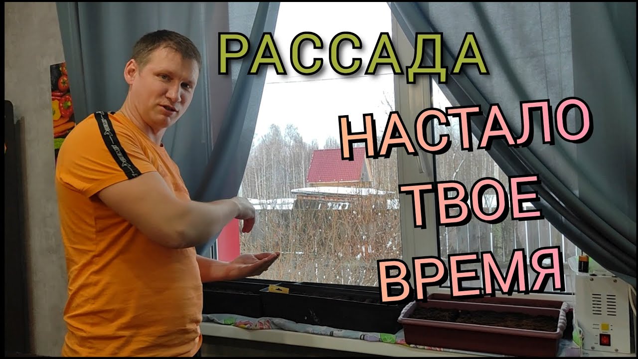 Посадили рассаду