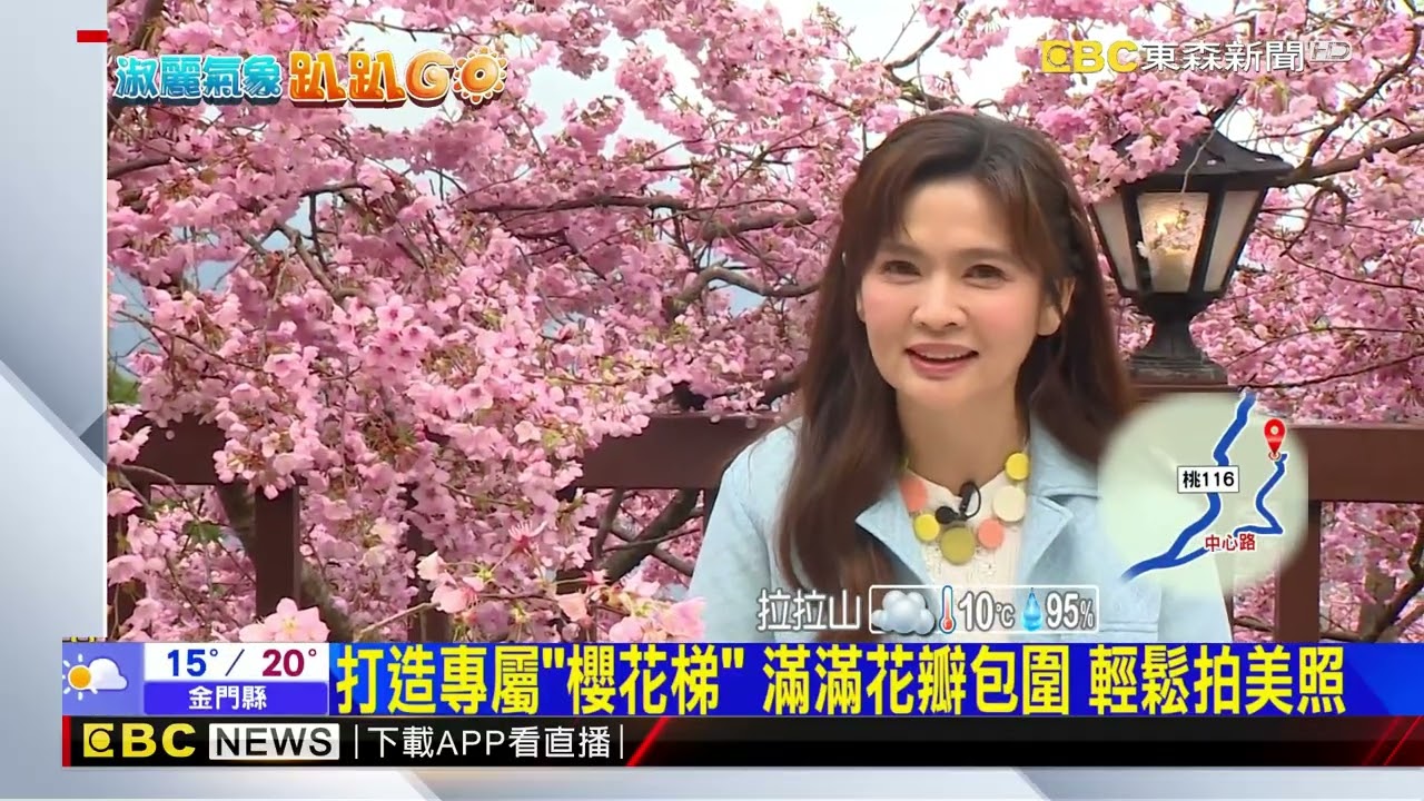 最新》今年「大爆花」 拉拉山農場櫻花季至三月中旬！@newsebc