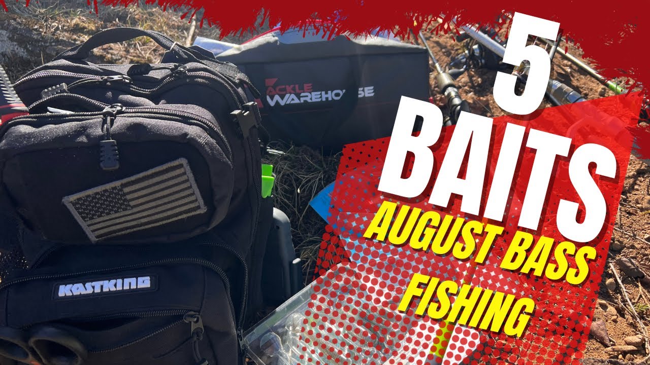 Baits For August Bass Fishing