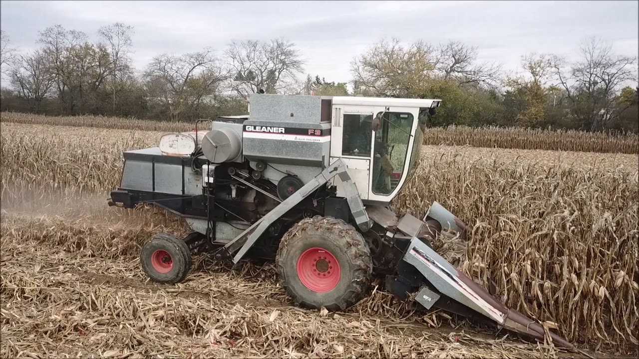 1983 F3 GLEANER COMBINE SHELLING CORN OXFORD, OHIO KJ LEHAMN OPERATOR OCT 25TH, 2020