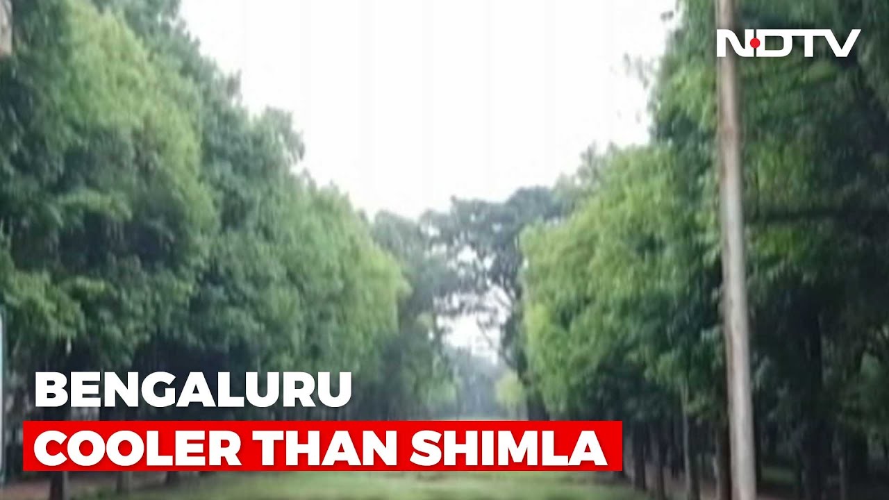 Bengaluru Currently Cooler Than Many Hill Stations, Internet Says 