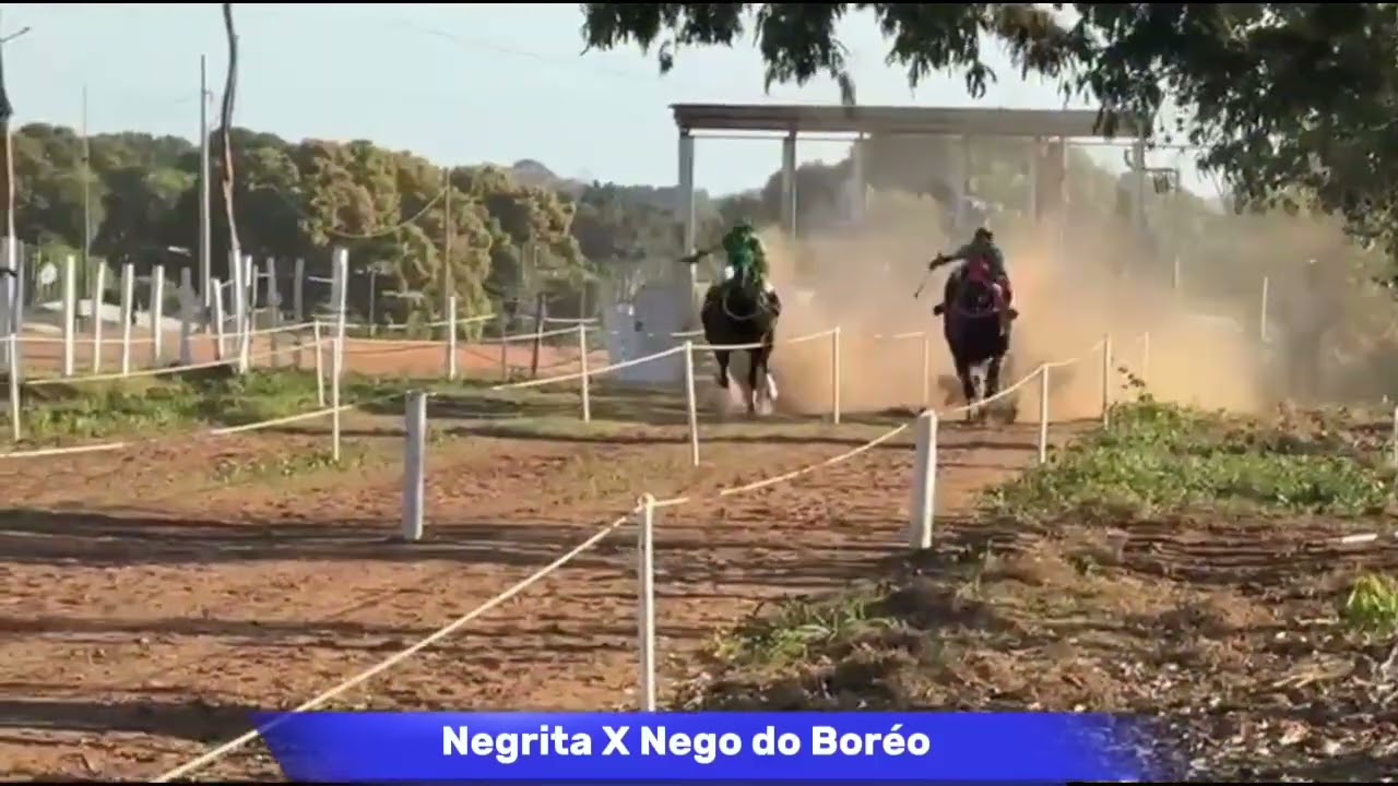 14 de julho de 2025