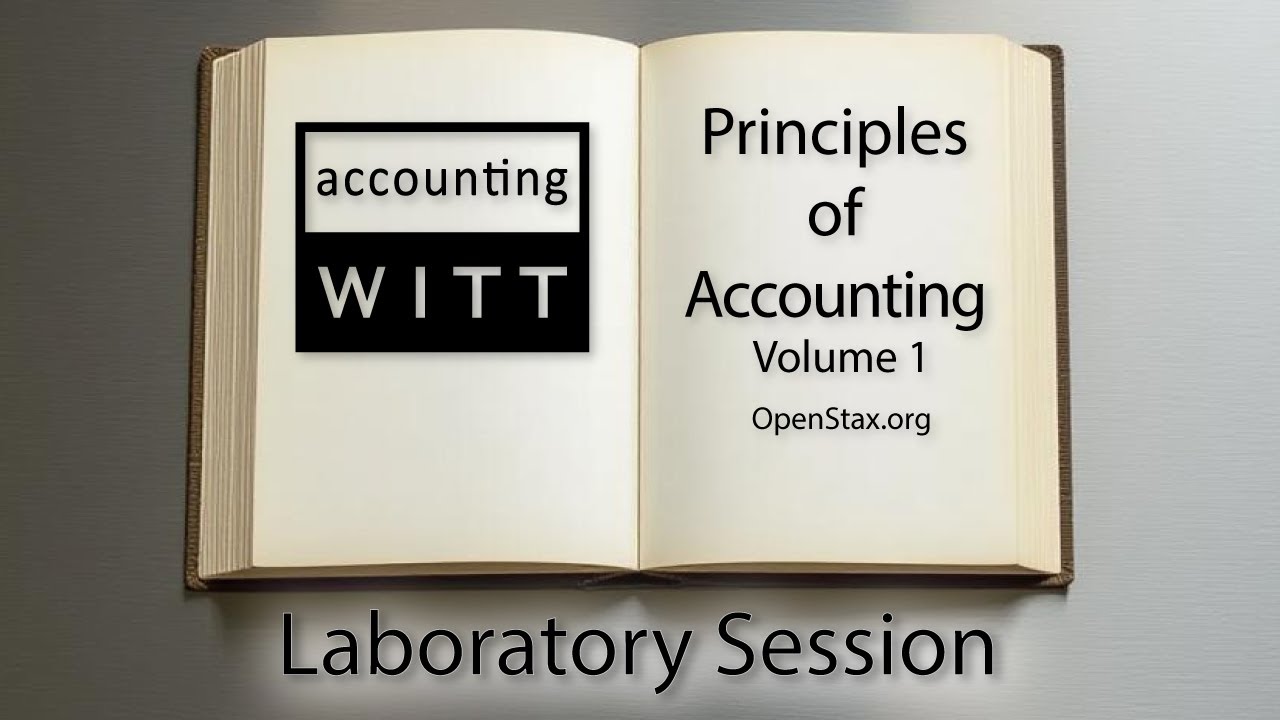Lab Session - Principles of Accounting Volume 1 - Chapter 2 - Part 2