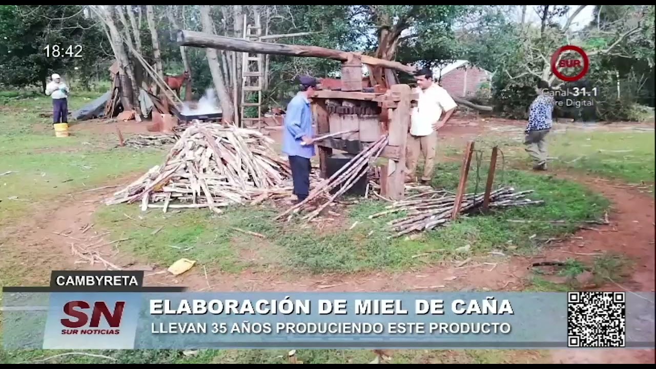 PRODUCCIÓN DE MIEL DE CAÑA