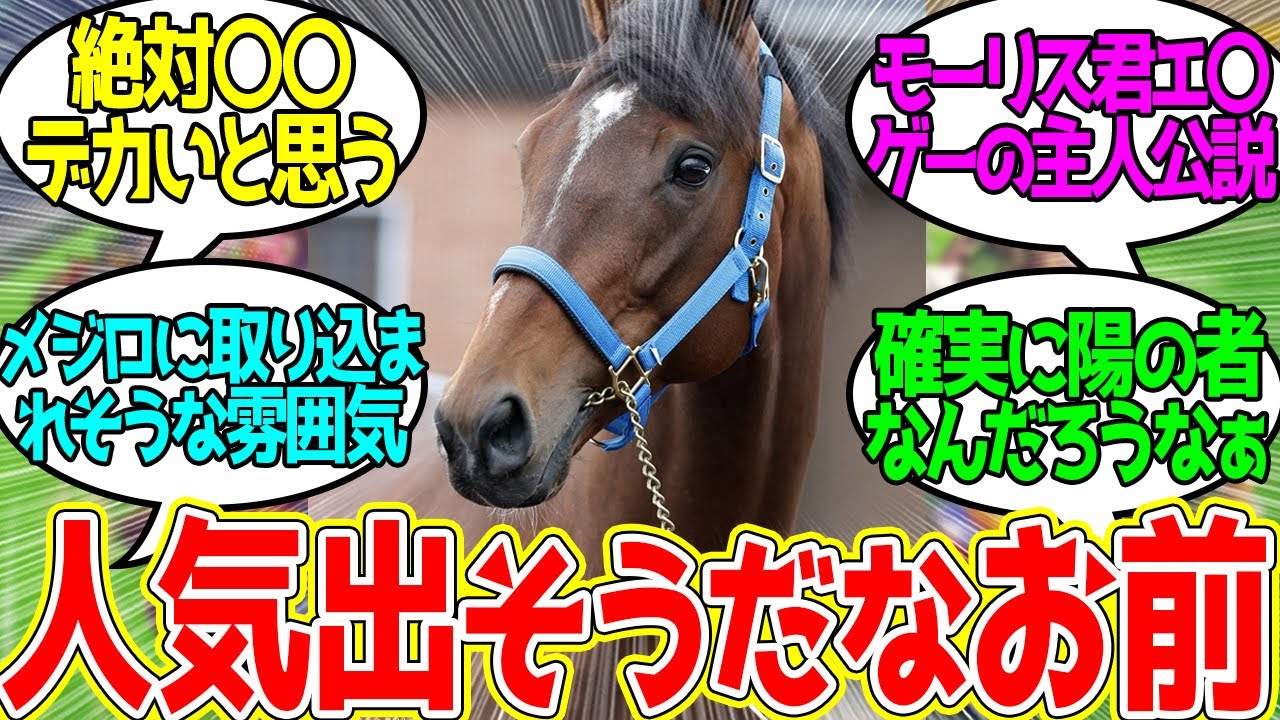 モーリスがウマ娘になったら…に対するみんなの反応！【競馬 の反応集】