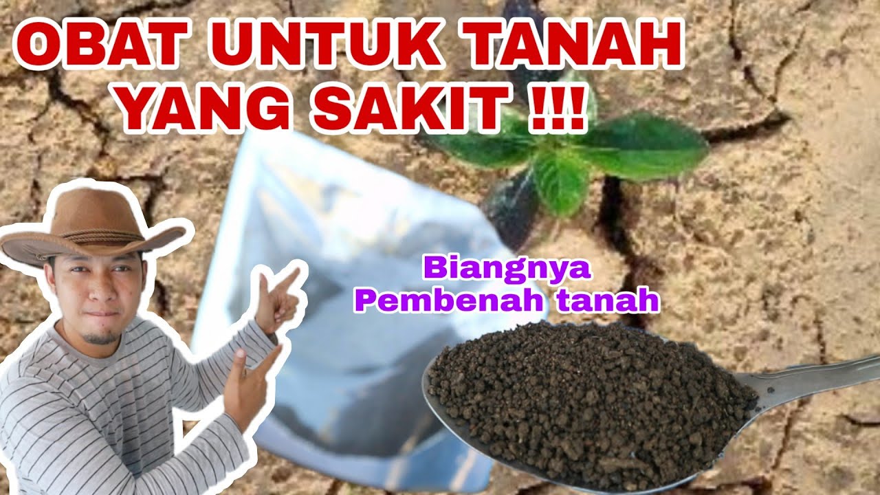 Biang nya Pembenah Tanah, awalnya iseng menciptakan ini, ternyata efeknya dahsyat