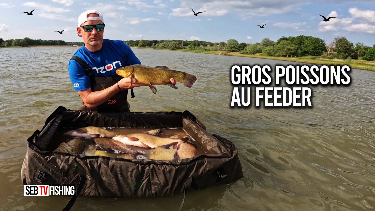 Je p&ecirc;che des br&egrave;mes &eacute;normes avec une amorce &agrave; tanches :-)