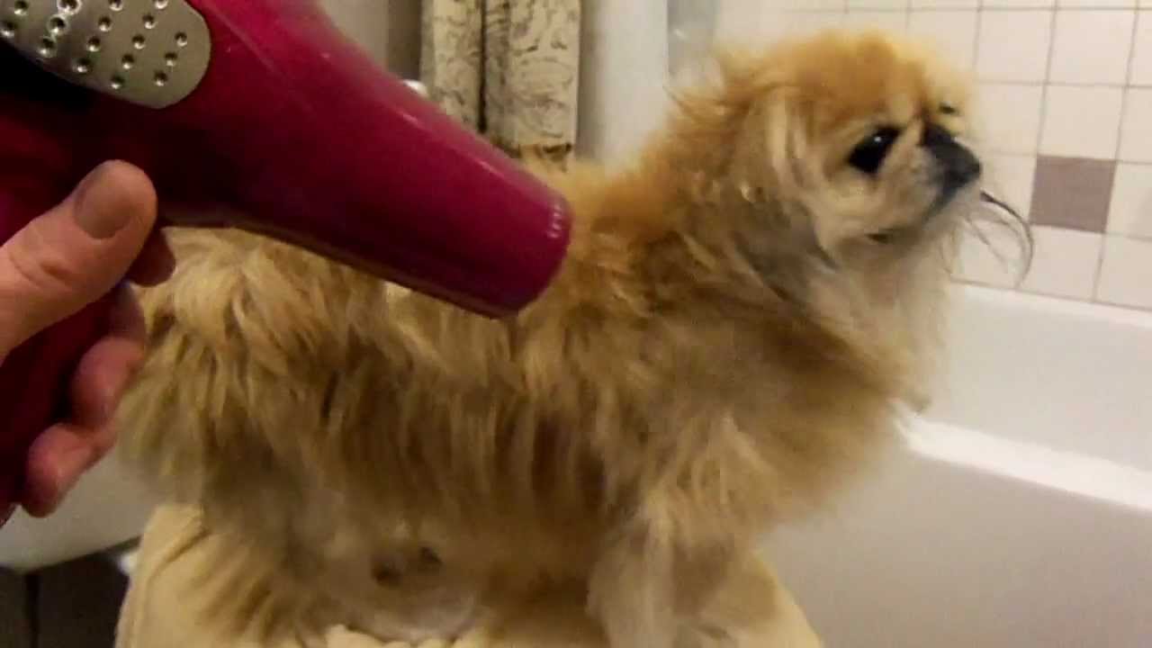Bath for Suuki