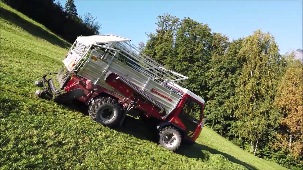 Sommer 2020 Reform Muli (Farm in the Swiss mountains)