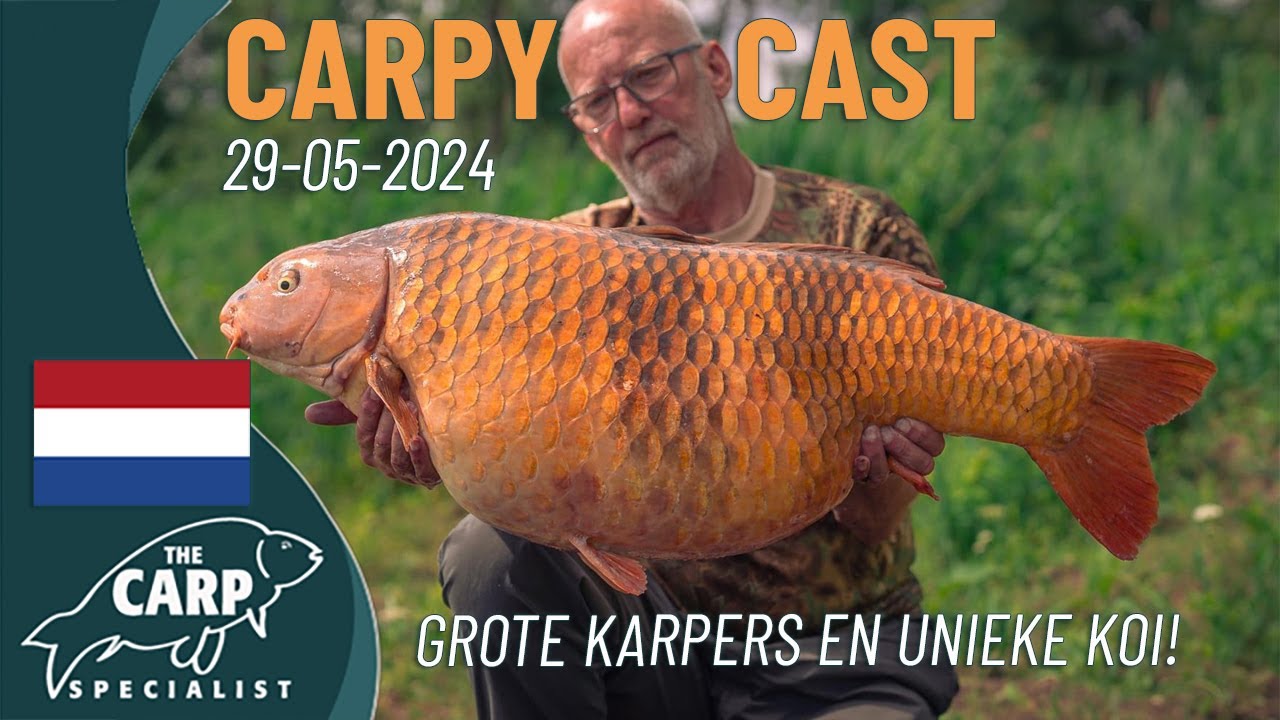 The Carpy Cast - 29-05-2024 - Dikke koi van 23kg en 27kg!