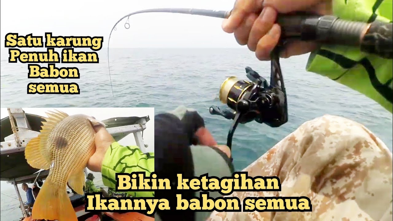Mancing ngampul di mercusuar semarang ikan babon babon semua[ spot mancing semarang ]