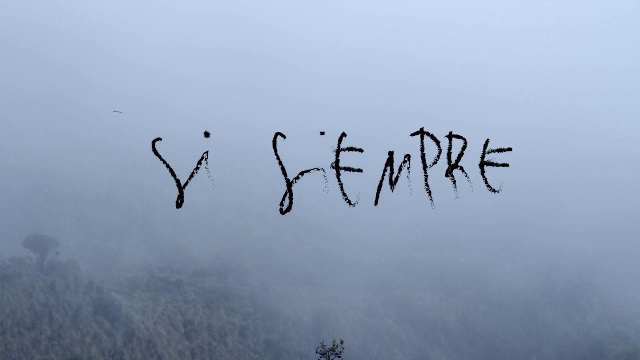 Fernando Milagros - Si Siempre (V&iacute;deo Lyric)