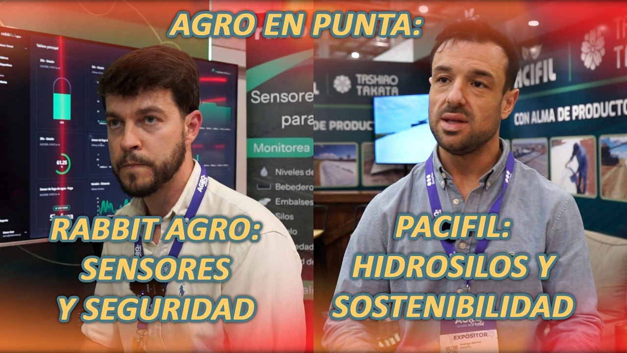AGRO EN PUNTA:RABBIT AGRO: SENSORESPACIFIL: HIDROSILOS Y SOSTENIBILIDAD 260214 FYM B