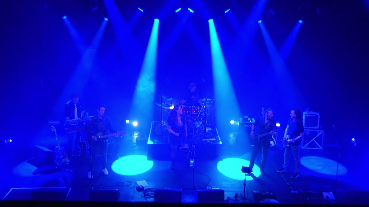 Drukte van Belang - Blauw (Cover)
