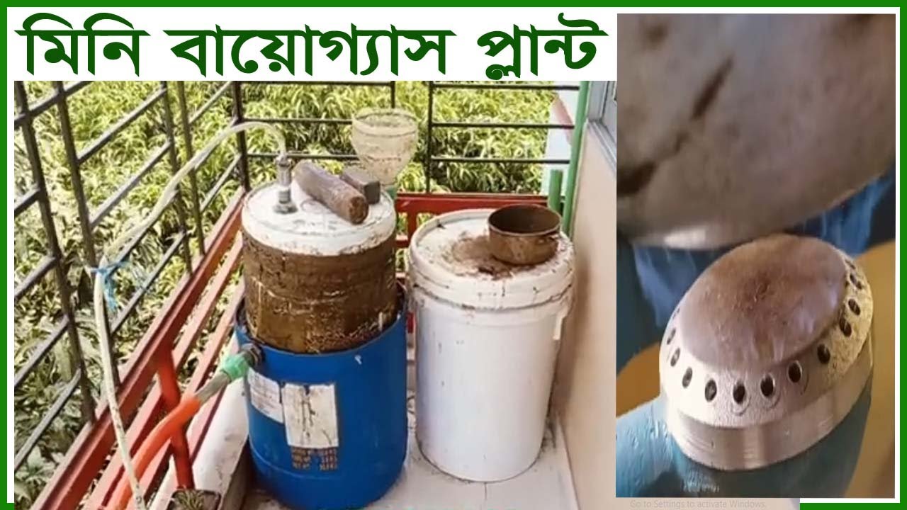 গোবর দিয়ে মাত্র ১৫০০ টাকায় মিনি বায়োগ্যাস প্লান্ট তৈরি করলাম