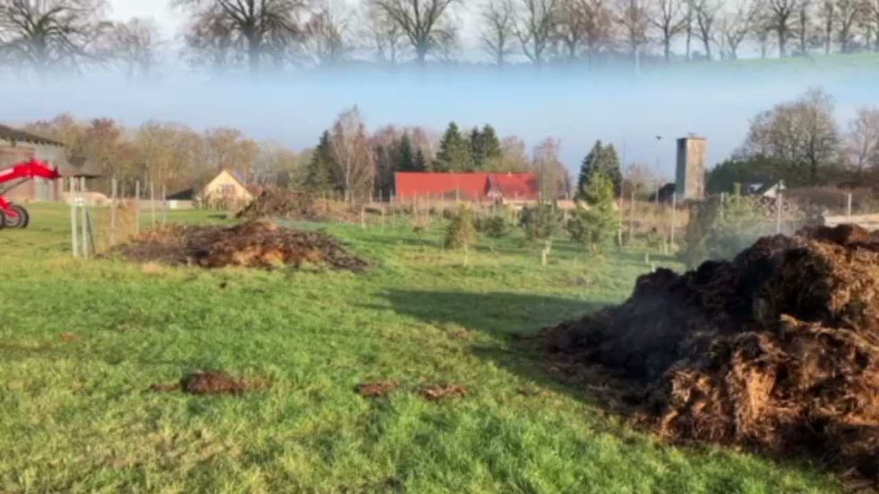 Pflügen und Mist fahren mit China Lader und Oldtimer Traktor kurz vor Weihnachten