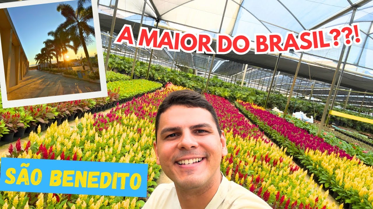 VOCÊ PRECISA CONHECER SÃO BENEDITO (CE)!