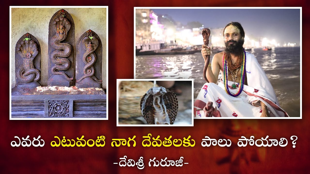 ఎవరు ఎటువంటి నాగ దేవతలకు పాలు పోయాలి ? | Omkaram Devisri Guruji