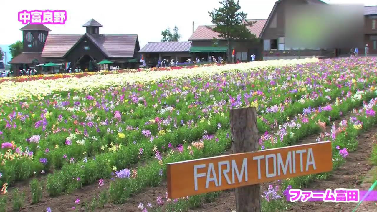 ファーム富田 - 地域情報動画サイト　街ログ