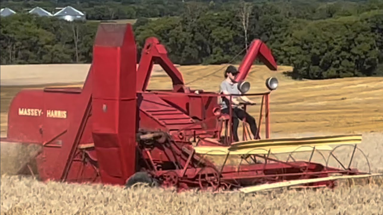 Sunday Afternoon and 500bu Later. 1949 Massey Harris No.21a Combine, 218 6cyl Chrysler 