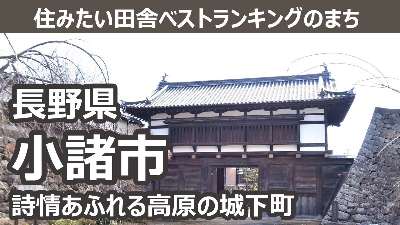 長野県 小諸市【住みたい田舎ベストランキングのまち】人生の楽園・長野移住ライフ vlog 046