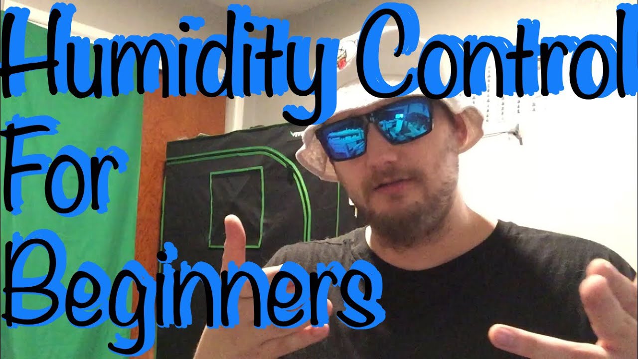 How To Control Humidity For Beginners