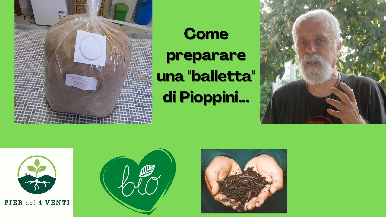 Come prepararsi una balletta di Pioppino...