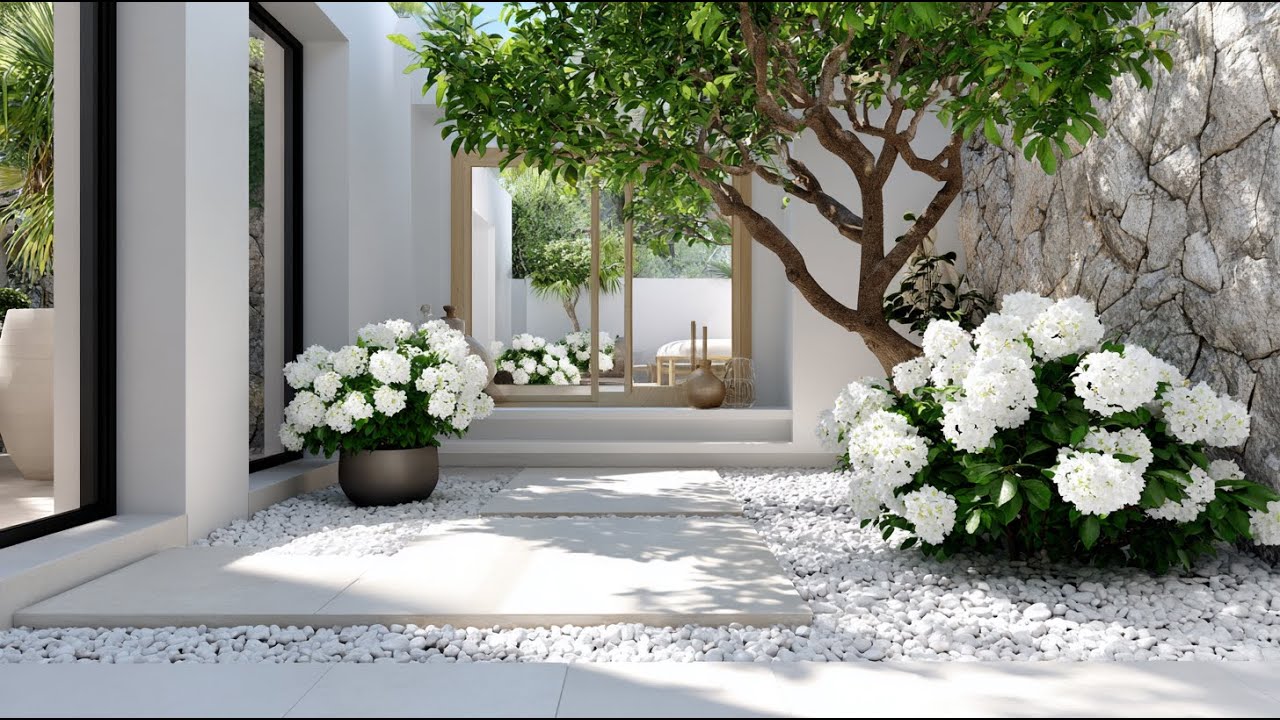 Contemporary Courtyard Ideas – Smart Landscaping for Stylish, Compact Outdoor Spaces!