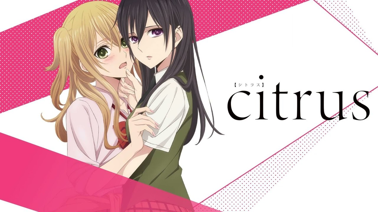 Pity in Her Eyes — Citrus [OST]