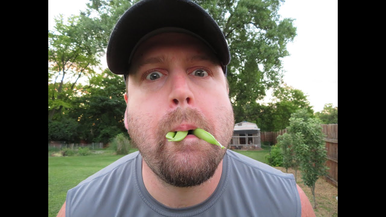 SUGAR SNAP PEAS What Am I Supposed to do With Them?