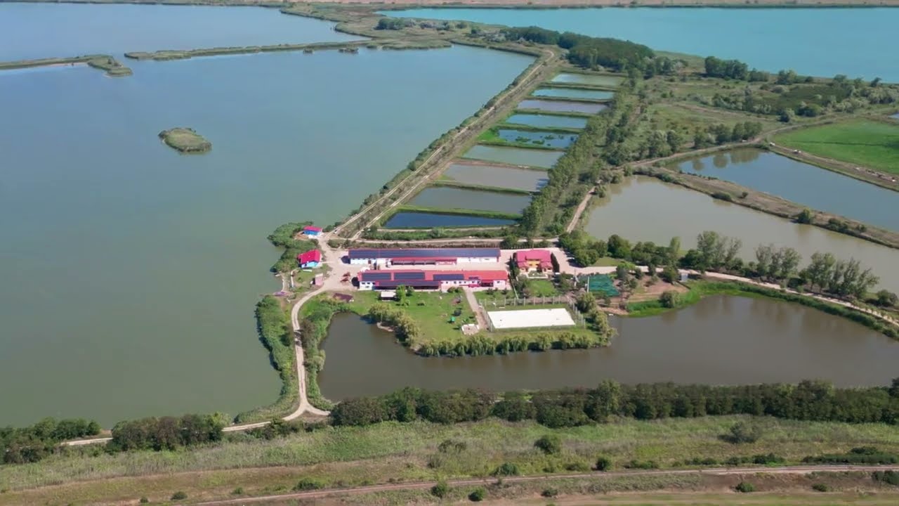 Complexul Delta Moldovei