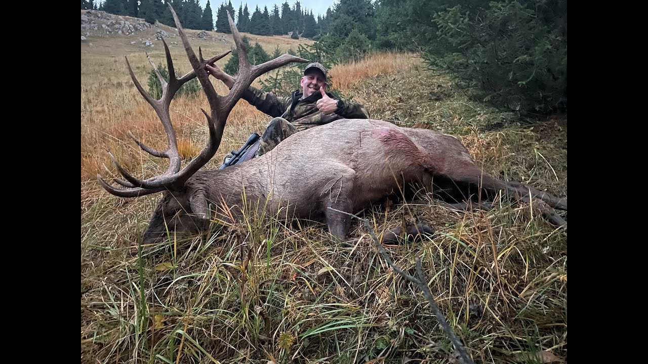 Hunting in Kazakhstan September 2024 English subtitles