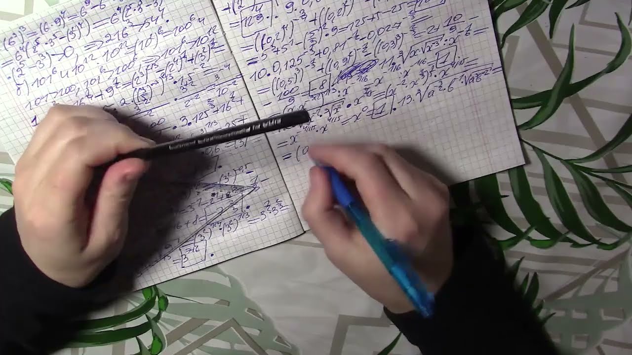 Мардан 08.03.2026 - Уже не остановить
