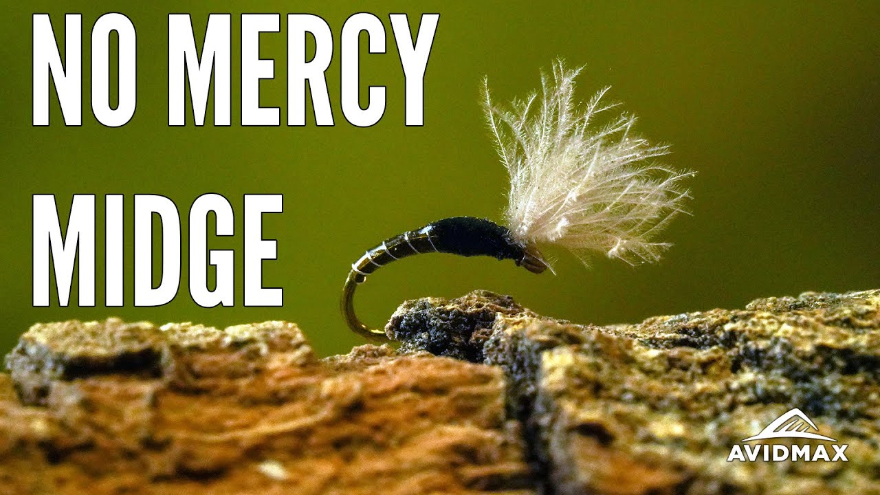 How to tie the No Mercy Midge | AvidMax Fly Tying Tuesday Tutorials