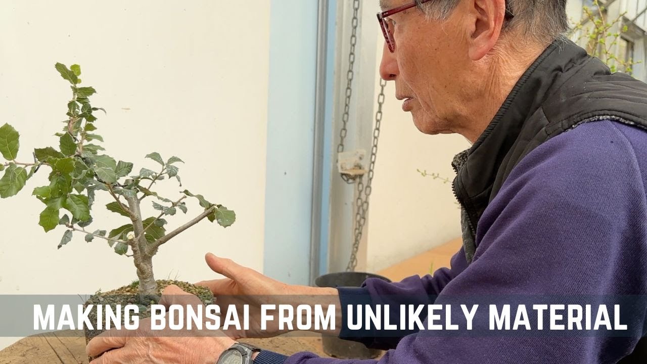 Making Bonsai from Unlikely Material