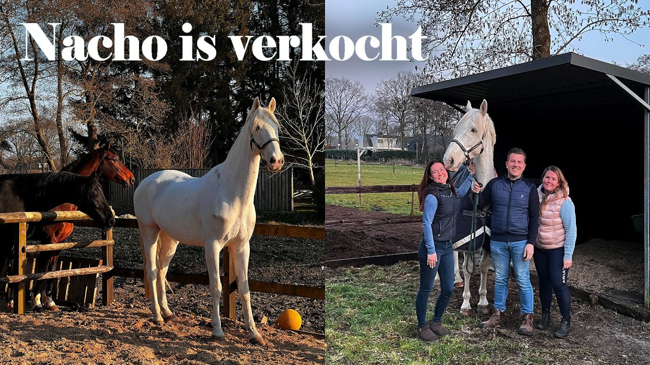 Nacho is verkocht ❤️ Dit is zijn nieuwe forever home!