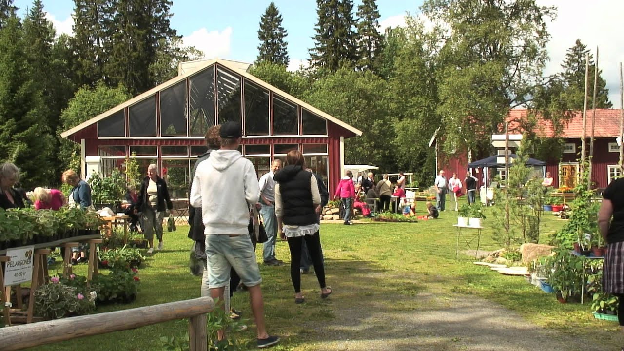 En smak av Jämtland - JämtTinas Havtorn
