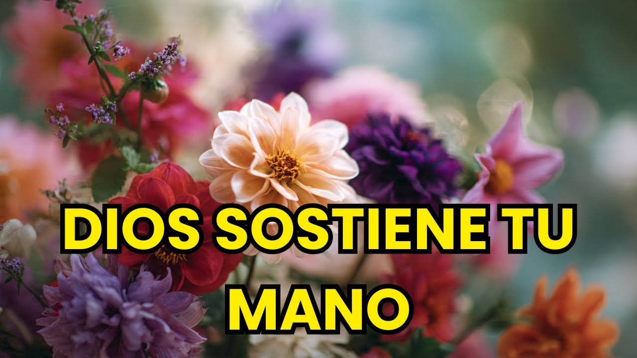 DIOS SOSTIENE TU MANO / ALABANZAS CRISTIANAS DE ADORACIÓN PARA RENOVAR LA FE Y LA ESPERANZA