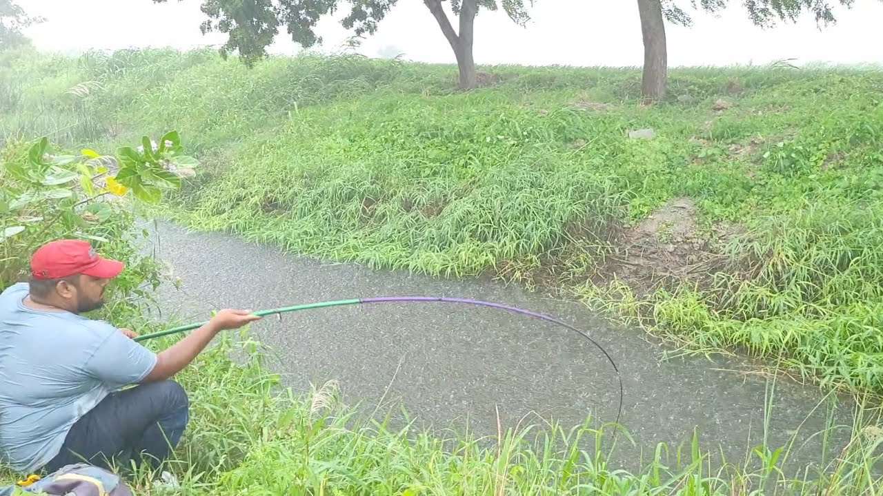 Unexpected Heavy Rain interupts While fishing|Fisherman Catching Tilapia fish with Small hook
